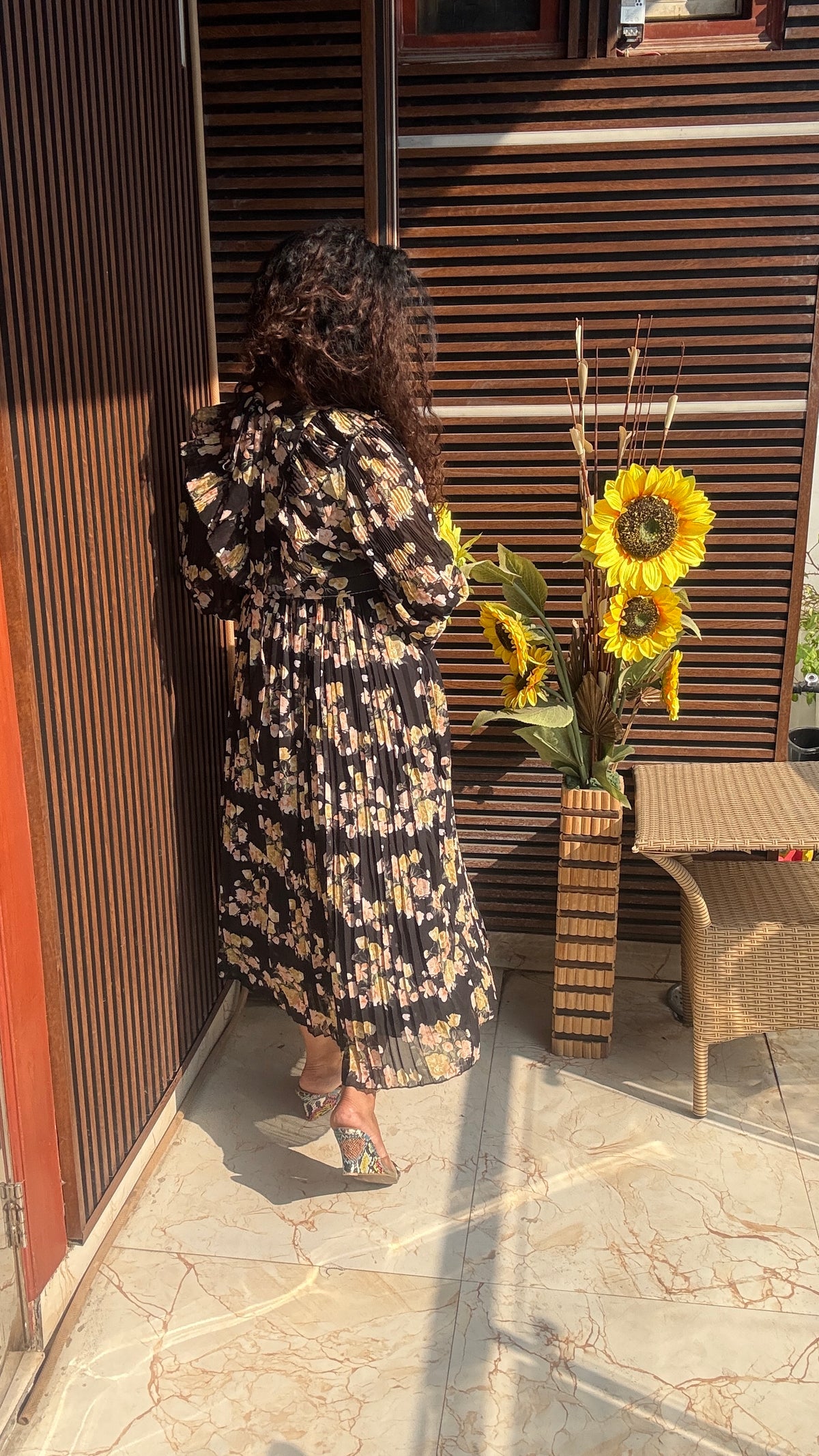 Rapsody ruffled and pleated dress